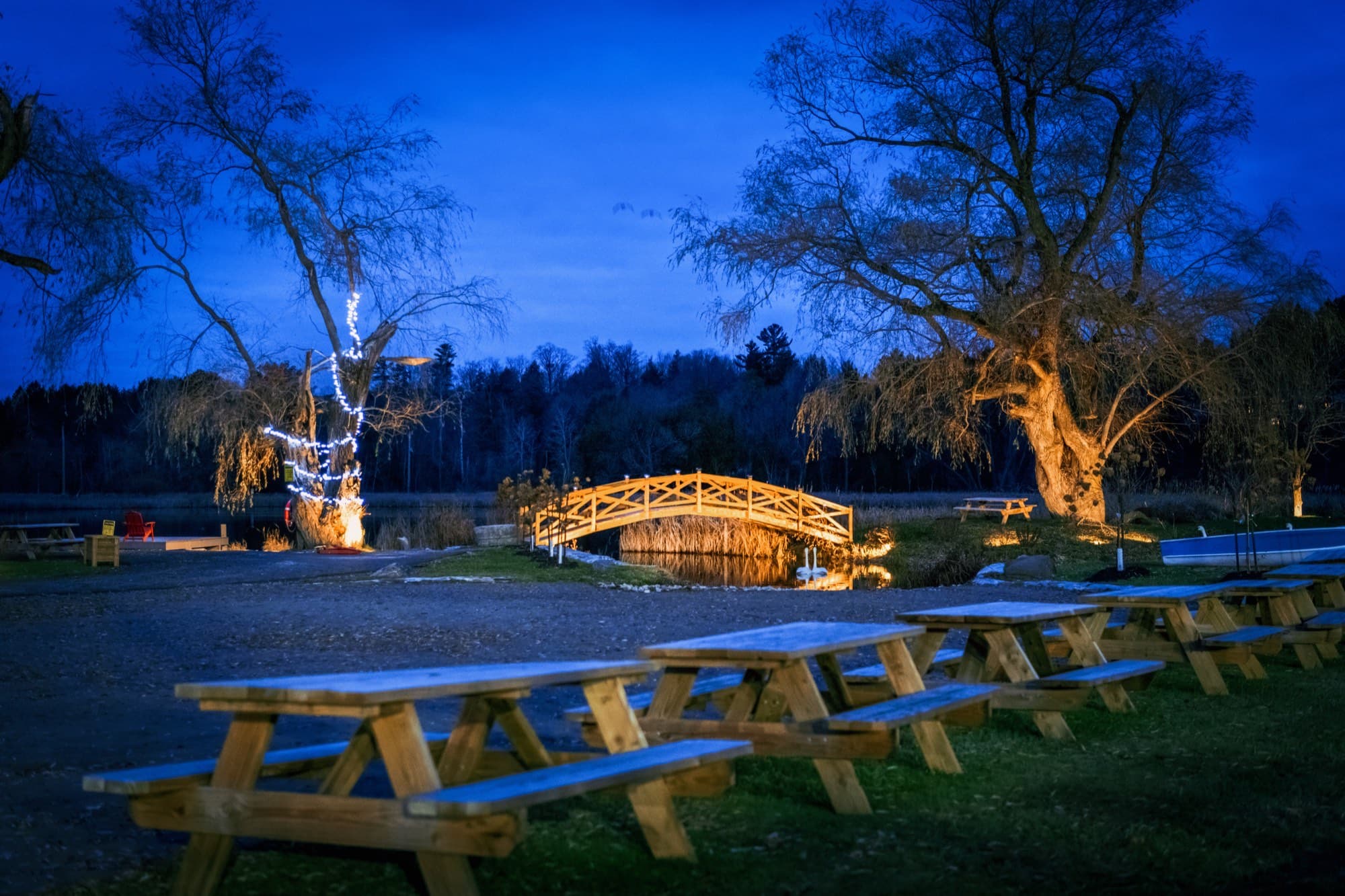 Elegant dinner setup